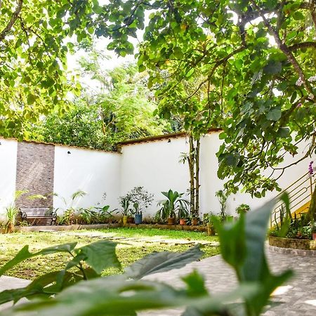 Green House Tarapoto Dış mekan fotoğraf