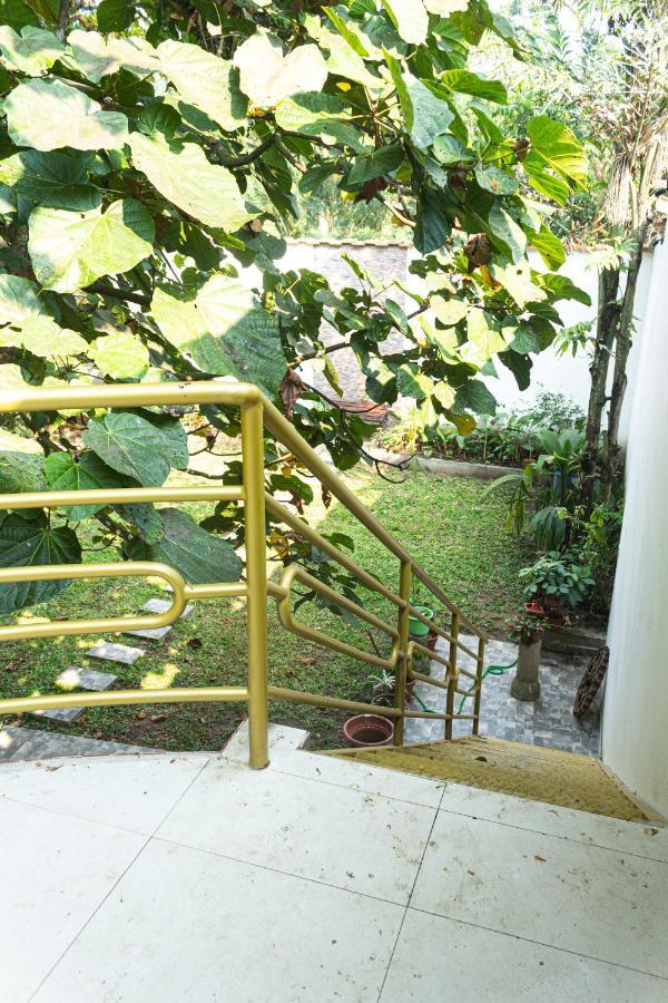 Green House Tarapoto Dış mekan fotoğraf