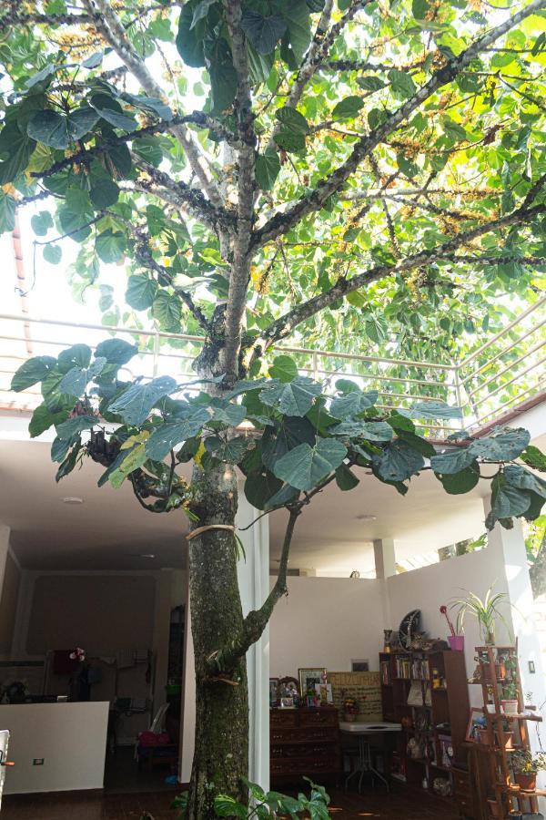 Green House Tarapoto Dış mekan fotoğraf