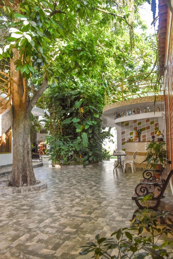Green House Tarapoto Dış mekan fotoğraf
