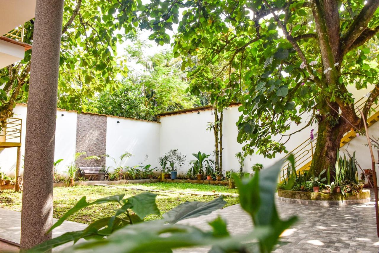 Green House Tarapoto Dış mekan fotoğraf