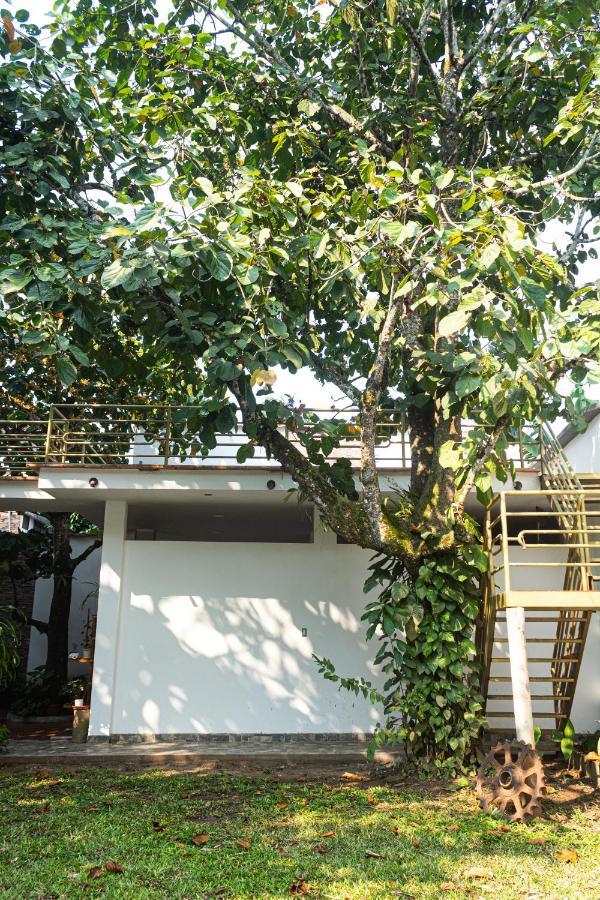 Green House Tarapoto Dış mekan fotoğraf