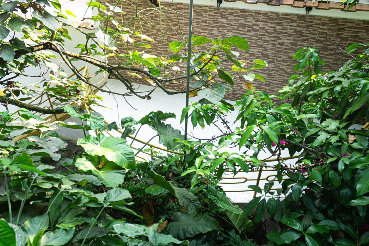 Green House Tarapoto Dış mekan fotoğraf