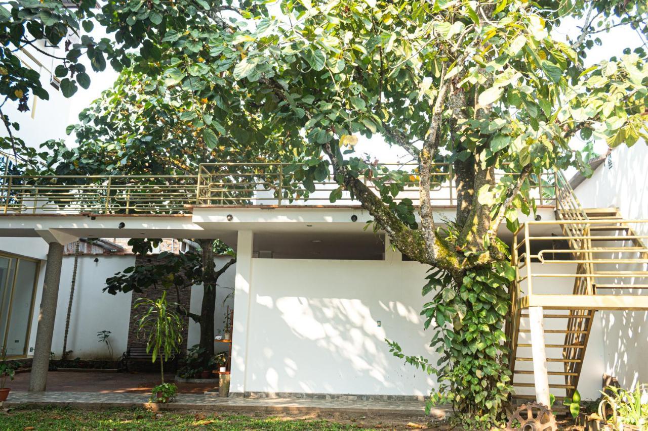 Green House Tarapoto Dış mekan fotoğraf