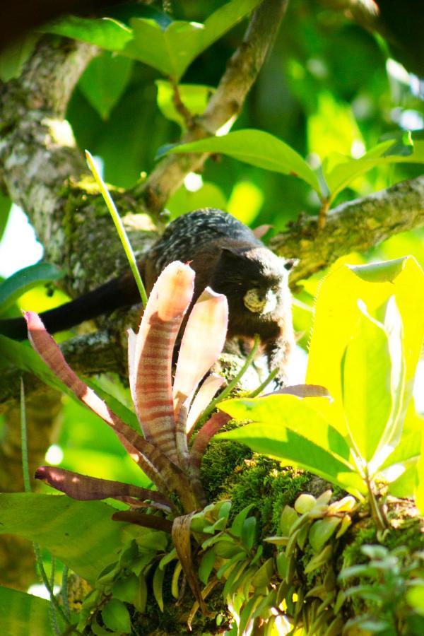 Green House Tarapoto Dış mekan fotoğraf